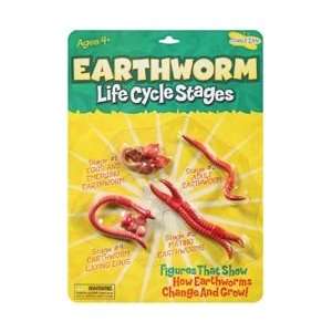 Insect Lore Life Cycle Stages Earthworm; 3 Items/Order  