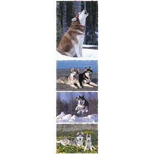   Siberian Husky Dog Scrapbook Stickers (31045): Arts, Crafts & Sewing