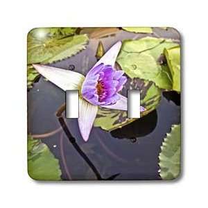 Boehm Photography Flower   Pink Lotus Flower Close Up   Light Switch 