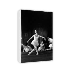  Royal Ballet   Canvas   Medium   30x45cm