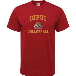   IUPUI Jaguars Cardinal Red Volleyball Arch T Shirt: Sports & Outdoors