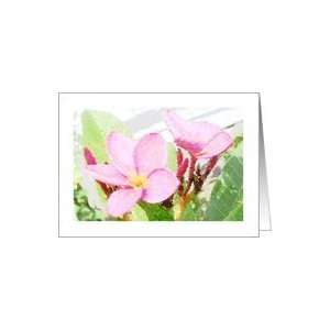  Pink Plumeria Flower,Blank Note Card Card: Health 